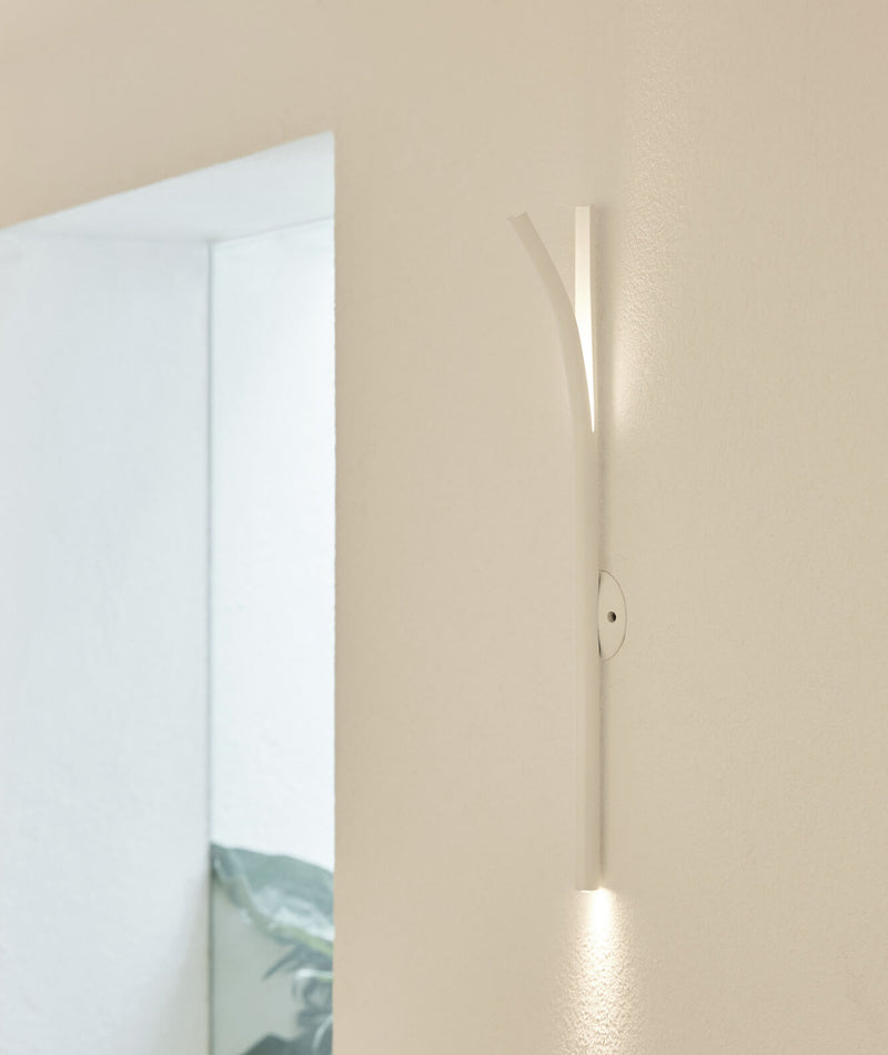 Cana Wall Lamp